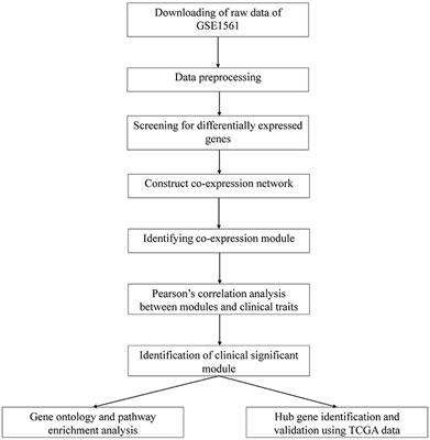 Prognostic Genes of Breast Cancer Identified by Gene Co-expression Network Analysis